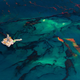 Image for article titled Strikingly beautiful pictures show the horrors of the BP oil spill